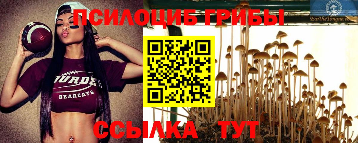 Ишимбай  Псилоцибиновые грибы мицелий  Вход с VPN 